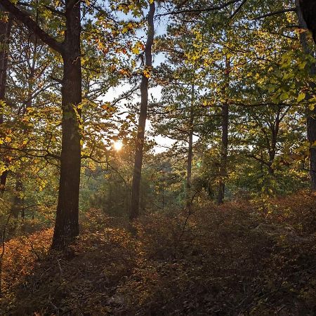 ユリーカ・スプリングスCabin #6 With Hot Tub Deck And Sunset View At Loblolly Pinesアパートメント エクステリア 写真